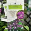 Clematis 'Etoile Violette' Climber 3Ltr Pot -Garden Care Store 30198710