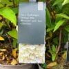 Hydrangea Paniculata 'Little Blossom' 5Ltr Pot 2 Hydrangea Paniculata 'Little Blossom' 5Ltr Pot -Garden Care Store 5019945247536