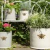 Woodlodge 29cm Wisteria Bee Cylinder Planter -Garden Care Store 5021346427110 fa3cfc22 6889 45d8 b39f c047370bf042