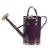 Smart Garden 9 Litre Violet Metal Watering Can -Garden Care Store 5050642069991 bb1d1b4b 5c00 4767 bfda a5c5e02a4125