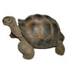 Vivid Arts 27cm Giant Tortoise -XRL-GTRT-D -Garden Care Store 5055195018816