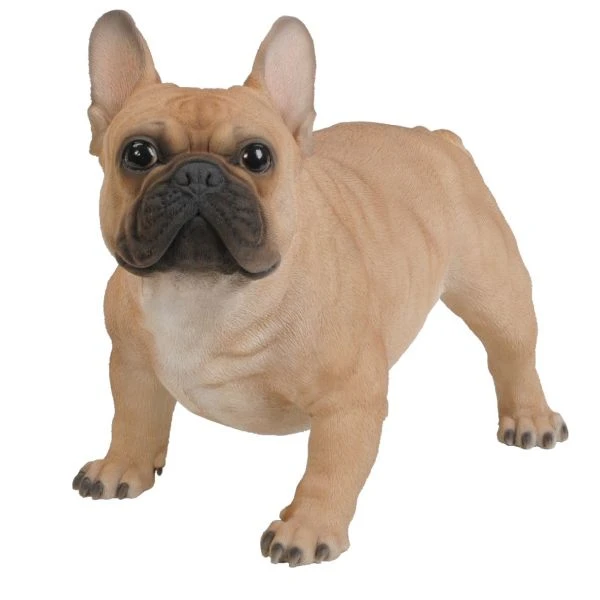 Vivid Arts 50cm Gold French Bulldog - XRL-FRBD-A 3 Vivid Arts 50cm Gold French Bulldog - XRL-FRBD-A