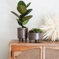 Ivyline 19cm Mocha Pisa Bowl Indoor Houseplant Pot -Garden Care Store 5055352850235 3