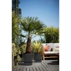 Elho 25cm Living Black Greenville Round Planter 11 Elho 25cm Living Black Greenville Round Planter -Garden Care Store 8711904332334 5