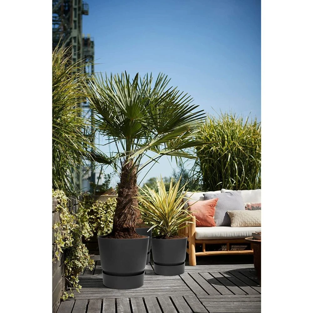 Elho 25cm Living Black Greenville Round Planter 7 Elho 25cm Living Black Greenville Round Planter - Image 5