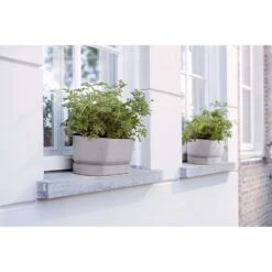 Elho 50cm Living Concrete Greenvillle Long Trough Planter 10 Elho 50cm Living Concrete Greenvillle Long Trough Planter -Garden Care Store 8711904358440 4