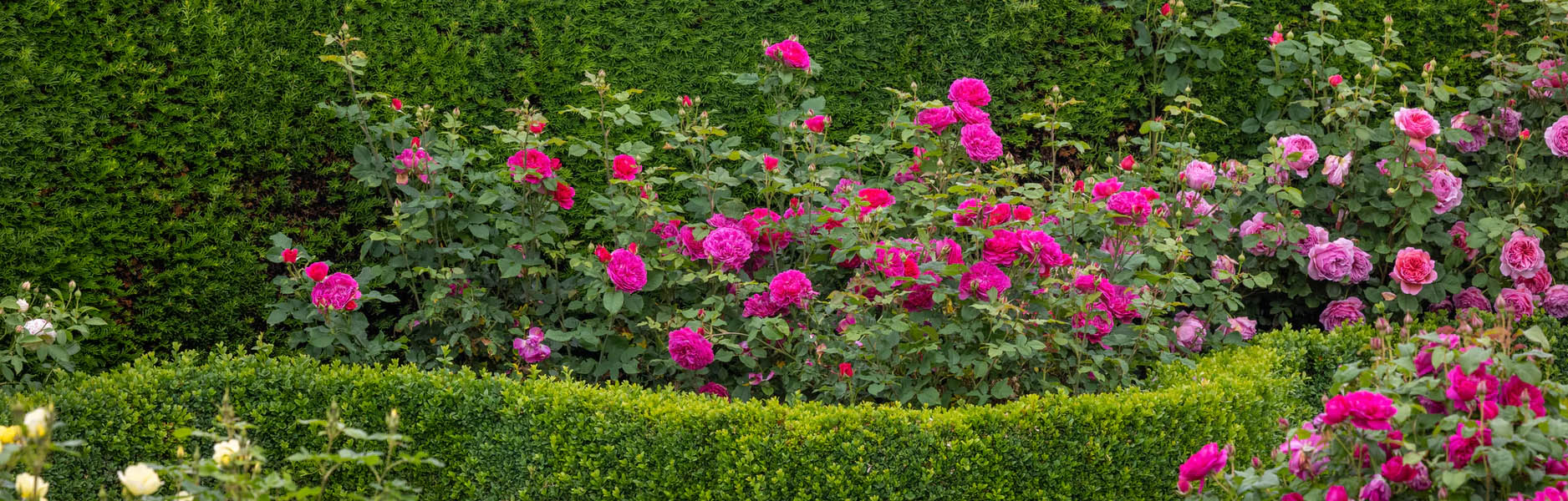 Garden Care Store -Garden Care Store fgjgj